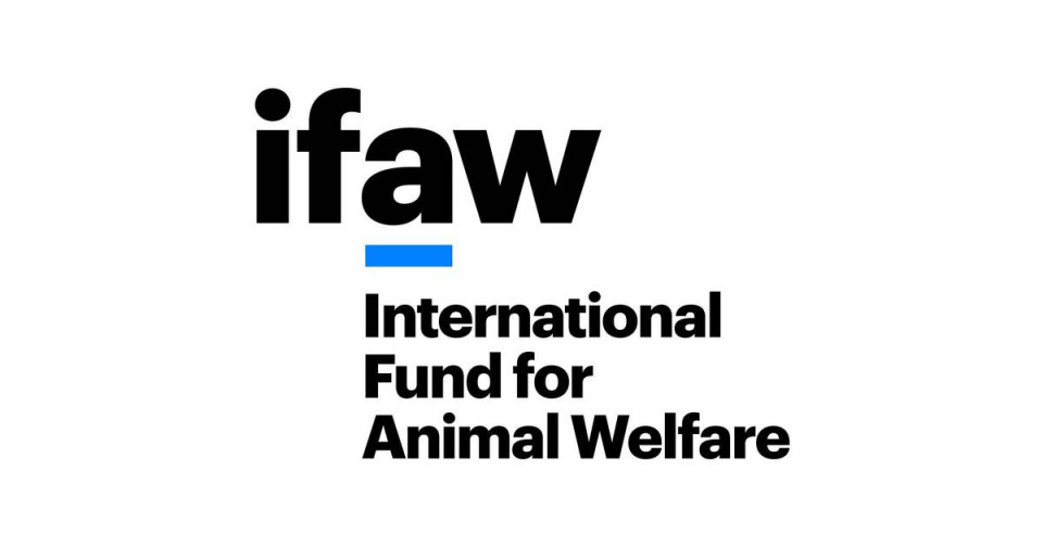 IFAW International Fund for Animal Welfare Logo