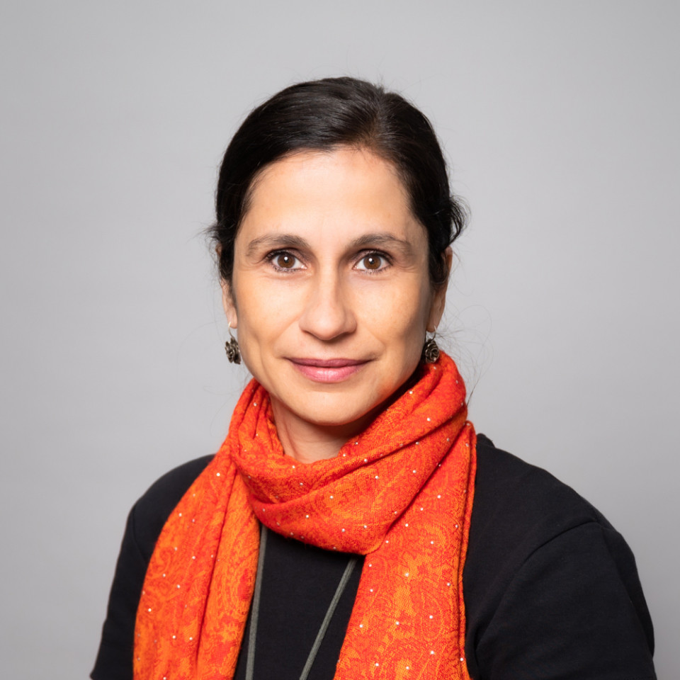 Gülçin Balamir Coşkun, Associate Professor of Political Science, Humboldt-Universität Berlin