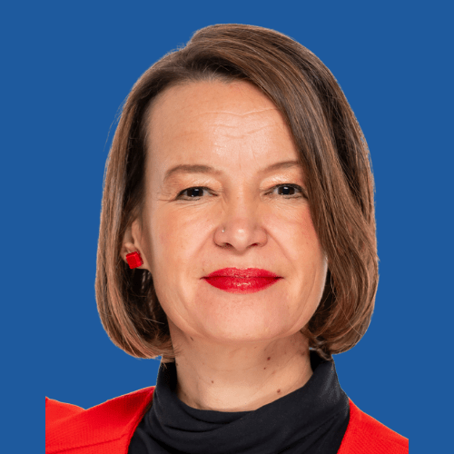 Leire Paj&iacute;n, MEP