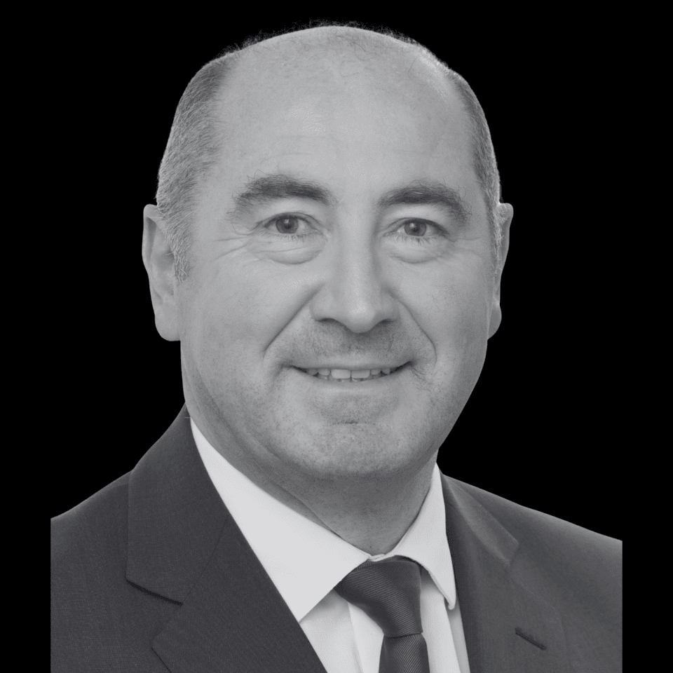 Hélder Sousa Silva, Substitute Committee on Security and Defence