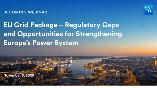 Webinar: EU Grid Package – Regulatory Gaps and Opportunities for Strengthening Europe’s Power System