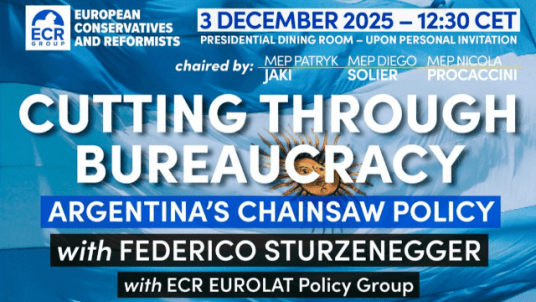 Cutting Through Bureaucracy - Argentina’s chainsaw policy