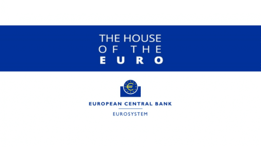 ECB - Virtual presentation of two analytical pieces from the May 2025 ECB Financial Stability Review