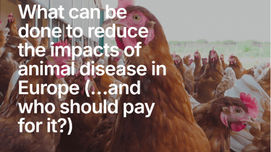 Sustainable Livestock Intergroup