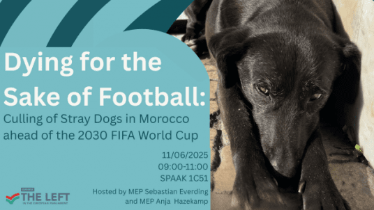 EP - Breakfast event: `Dying for the Sake of Football: Culling of Stray Dogs in Morocco ahead of the 2030 FIFA World Cup