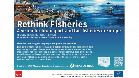 Rethink Fisheries :  a vision for low impact and fair fisheries in Europe