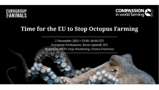 Time for the EU to Stop Octopus Farming