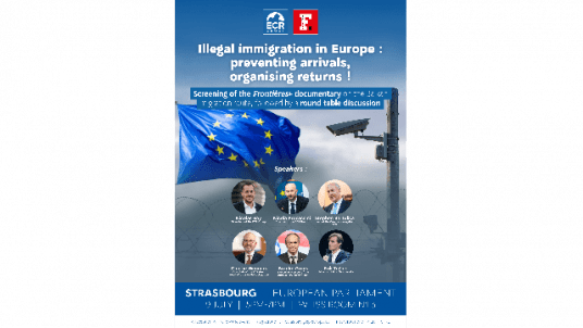 EP - Illegal immigration in Europe: preventing arrivals, organizing returns!