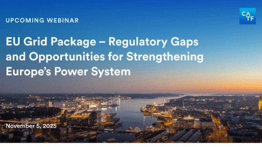 Webinar: EU Grid Package – Regulatory Gaps and Opportunities for Strengthening Europe’s Power System