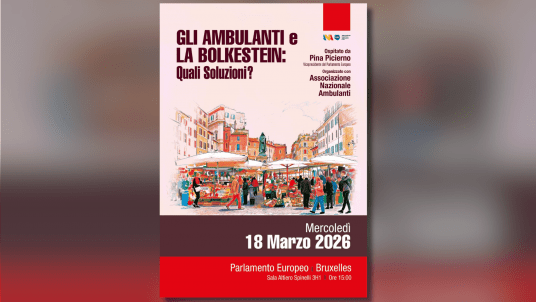 Street Traders and the Bolkestein Directive: What Solutions?