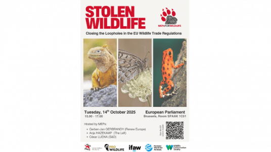 Criminalising the Trade in Illegally Sourced Wildlife